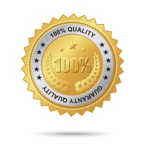 ضمانت دریافت نمایندگی به همراه طراحی سایت